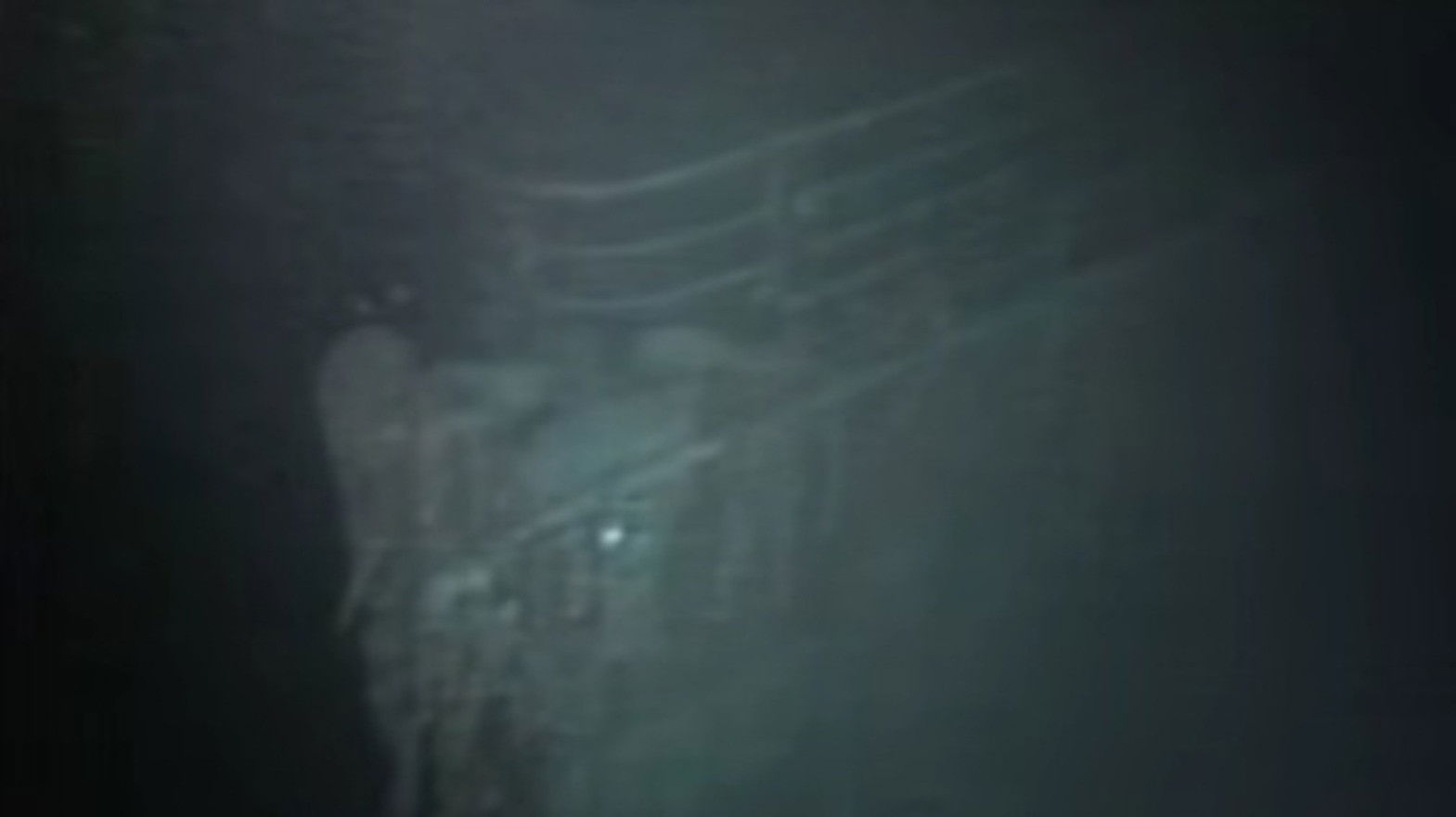 Titanic: The Nightmare and the Dream