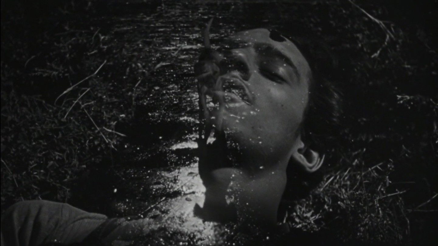 The Young and the Damned