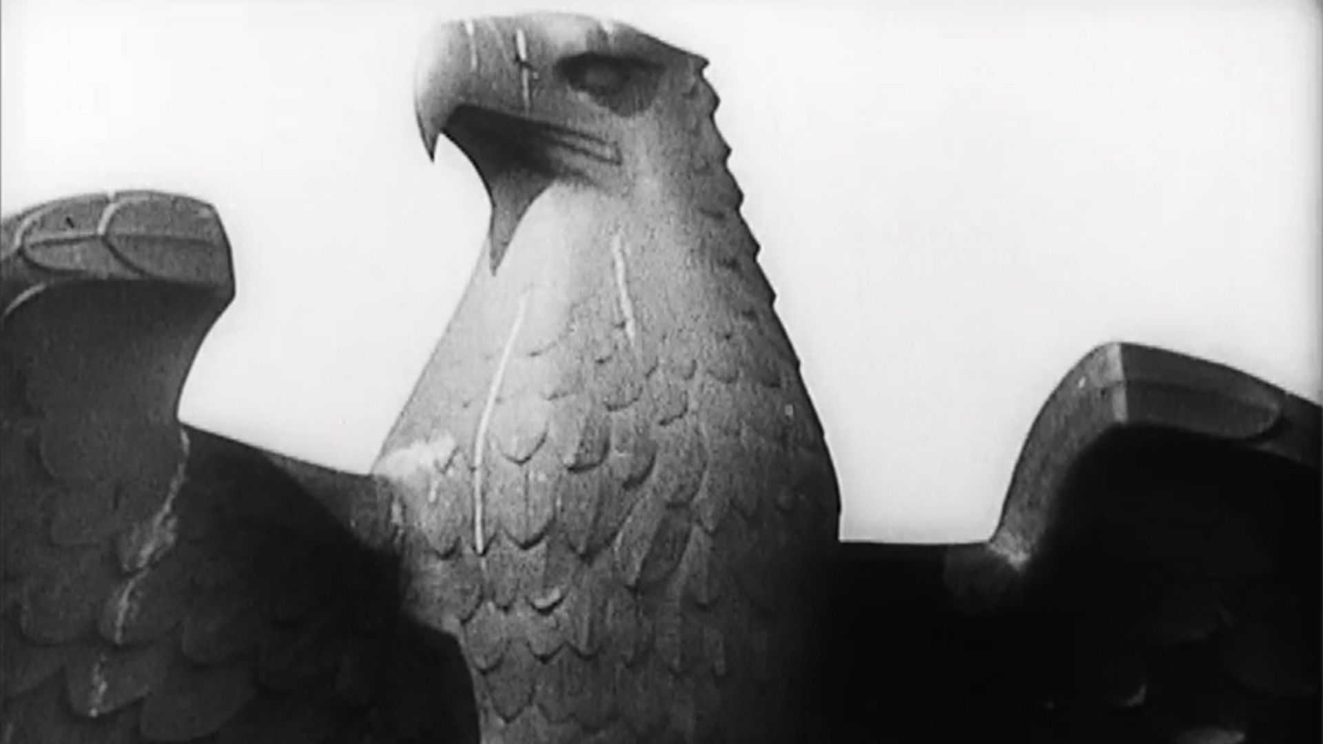 In the Land of Eagles and Crosses