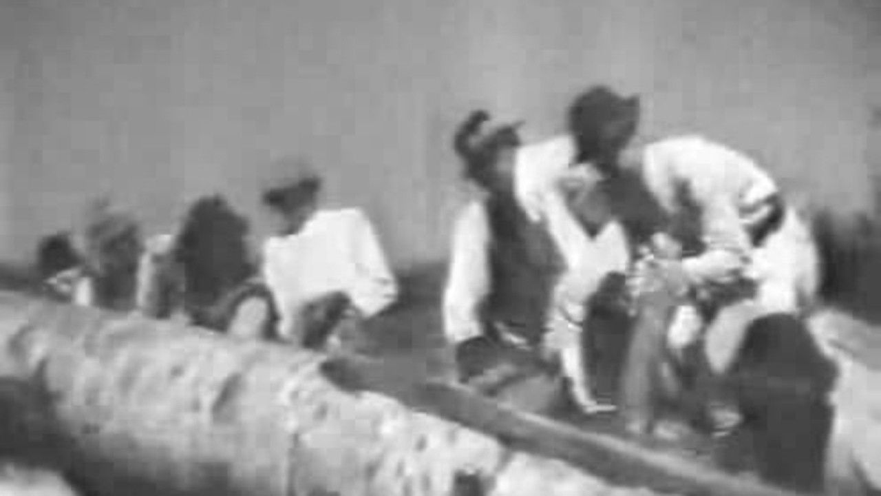 Bukovyna, Ukrainian Land