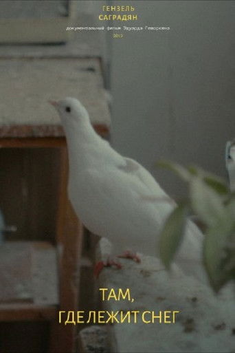 There Where The Snow Lies