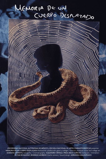 Memory of a Displaced Body