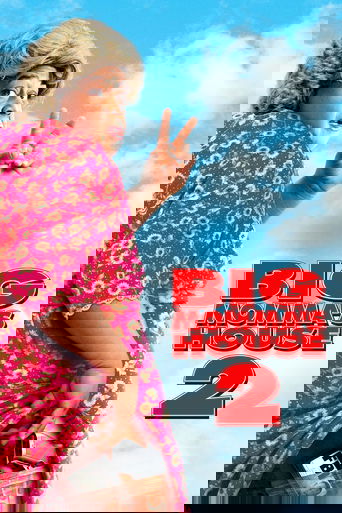 Big Momma's House 2