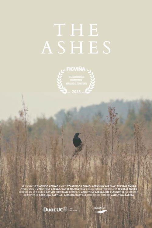The Ashes