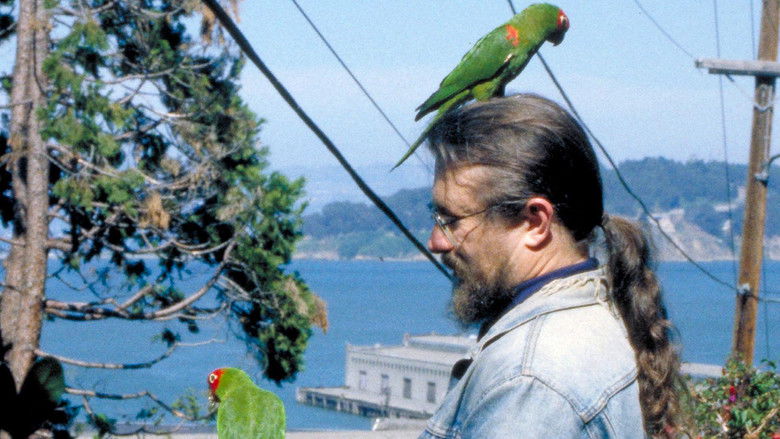The Wild Parrots of Telegraph Hill still 1