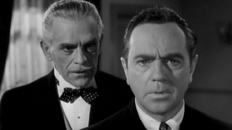 Black Friday still 2