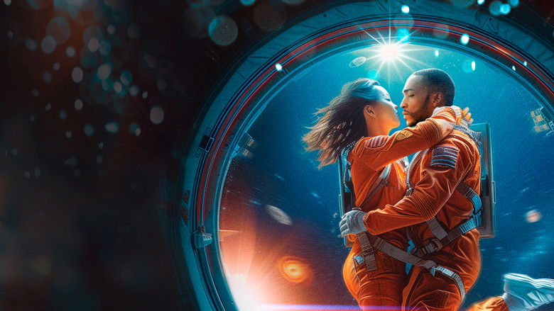 If You Were the Last still