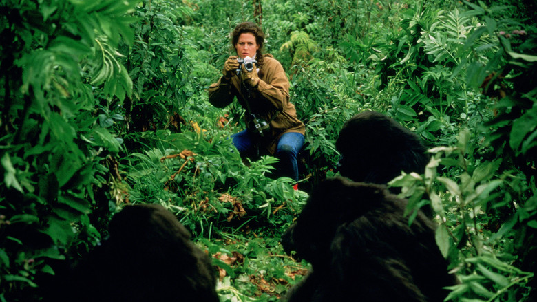 Gorillas in the Mist still