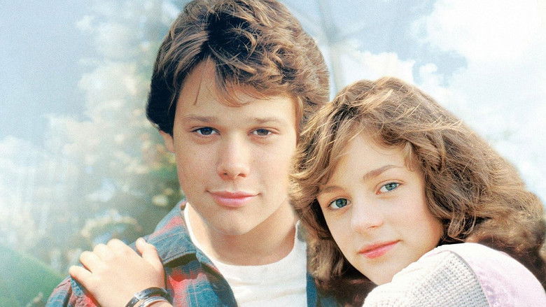 The Boy Who Could Fly still