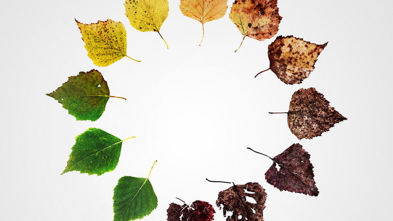 Alternate Endings: Six New Ways to Die in America still 1