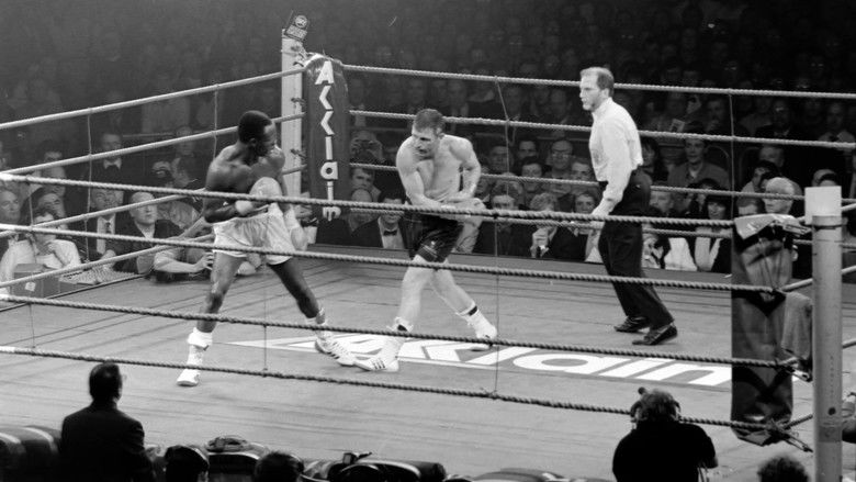 One Night in Millstreet still