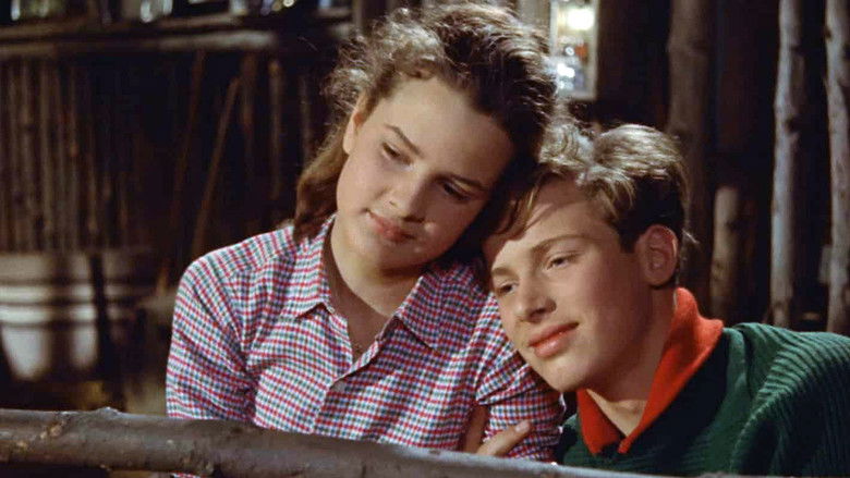 Die Mädels vom Immenhof still 2