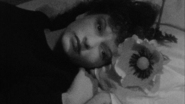 Meshes of the Afternoon still 4