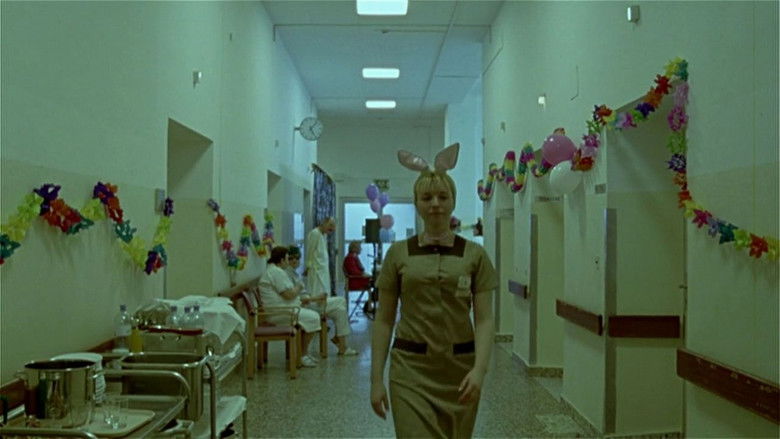 Import/Export still 3