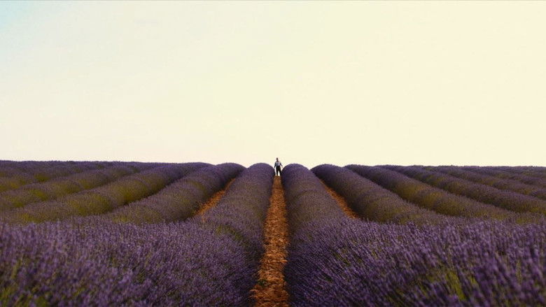 Valensole 1965 still