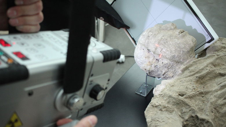 Pompeii: Secrets of the Dead still