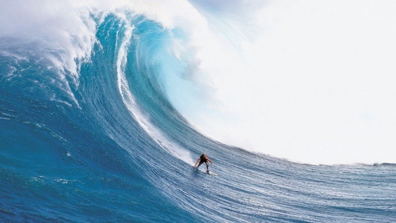 Billabong Odyssey still 3