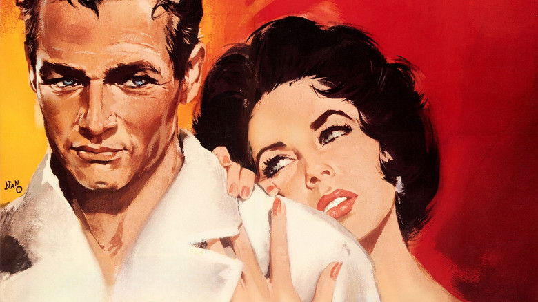 Cat on a Hot Tin Roof still 3