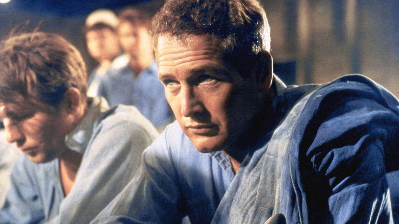 Paul Newman: The Restless still