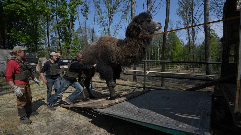 Checkpoint Zoo still 2