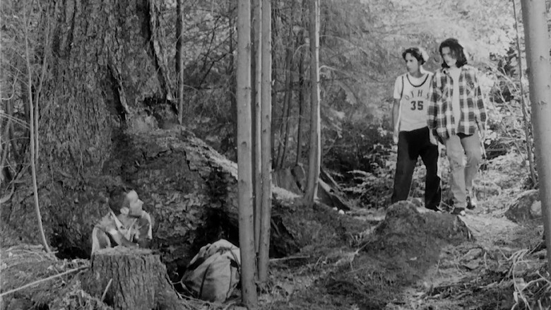 Drawing Flies still 2