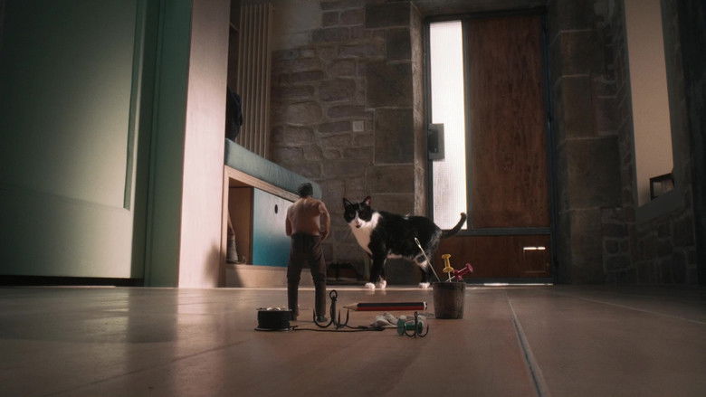 The Shrinking Man still