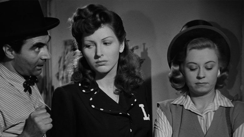 Variety Lights still