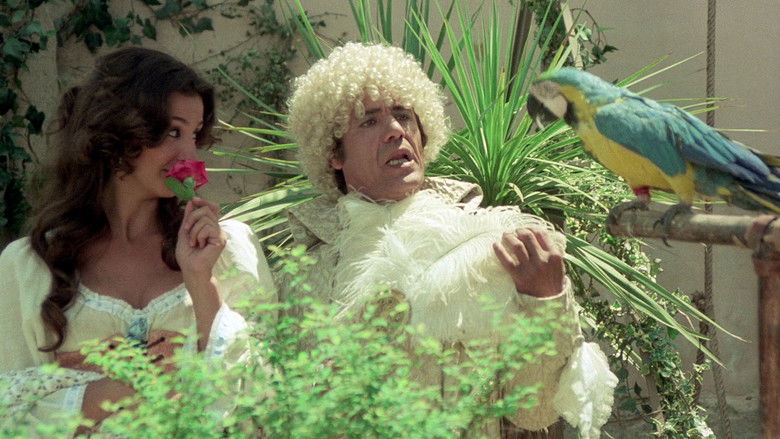 Dream of Zorro still