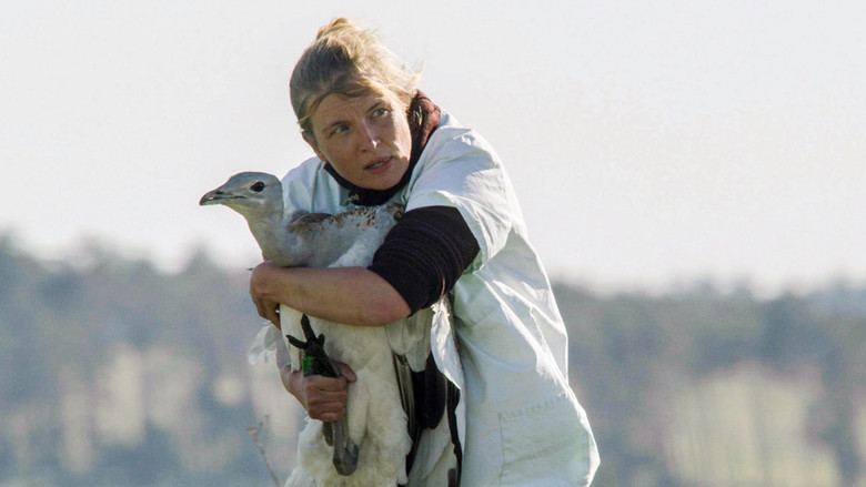 Glorious Bustards still 1