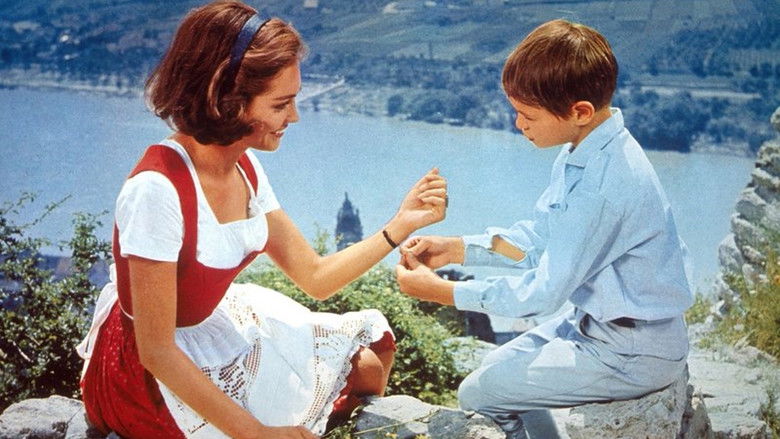 An der Donau, wenn der Wein blüht still 2