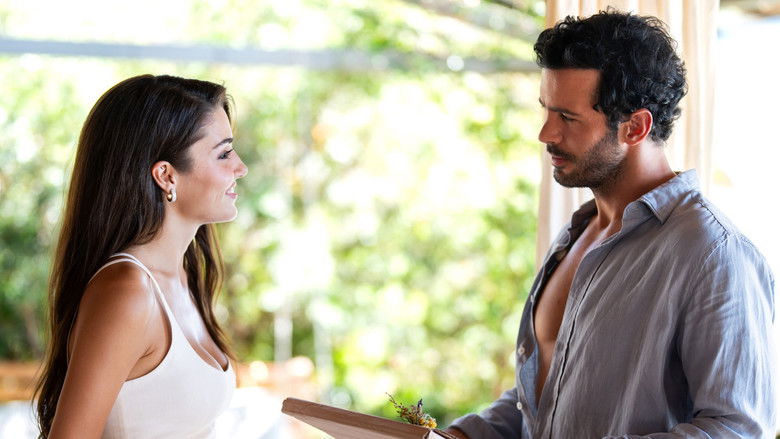 Chasing the Wind still