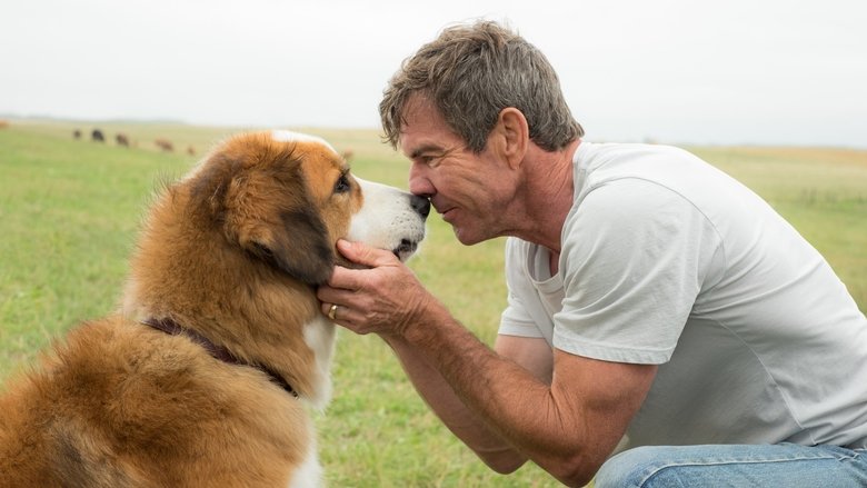 A Dog's Purpose still