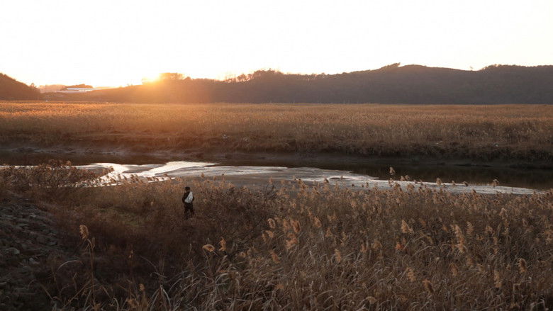 My Father's Emails still 2