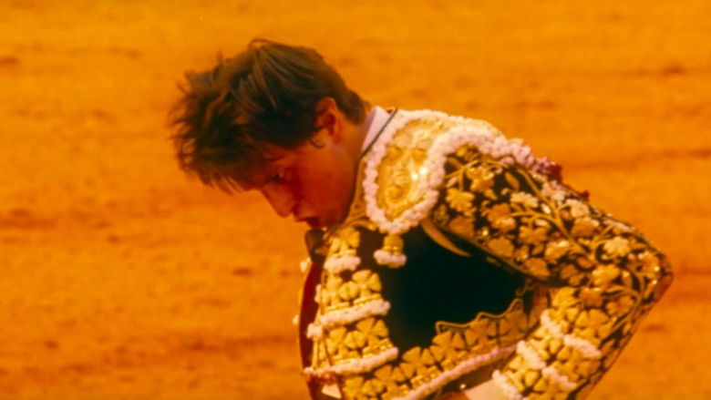 Afternoons of Solitude still 3