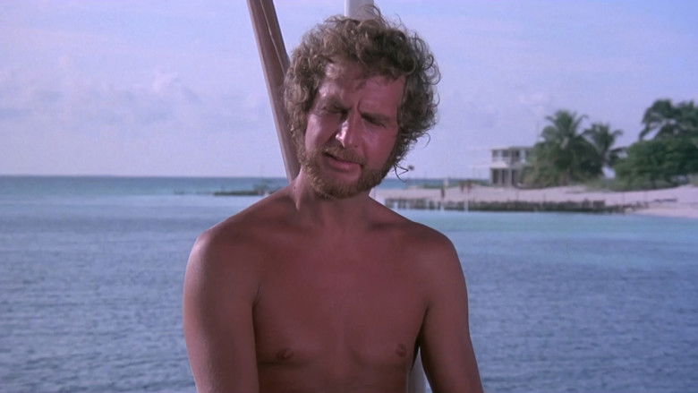 Tintorera: Killer Shark still 3