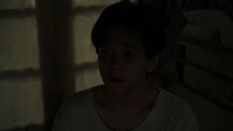 A Brother and 7 Siblings still