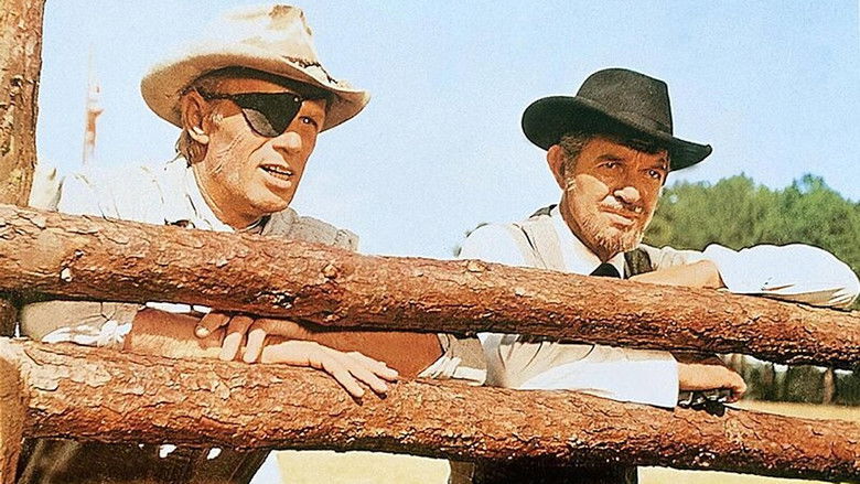 Alvarez Kelly still 3