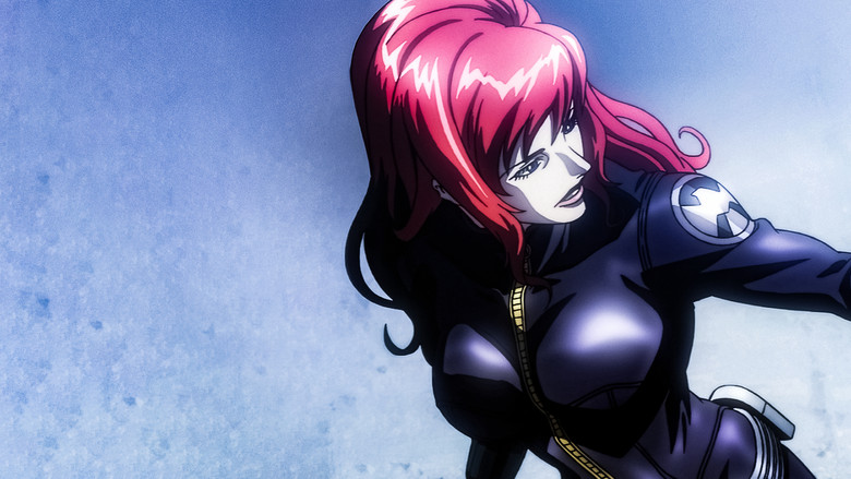 Avengers Confidential: Black Widow & Punisher still