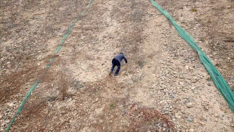 Rivercide: The Secret Six still 4