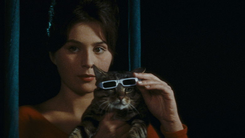 When the Cat Comes still