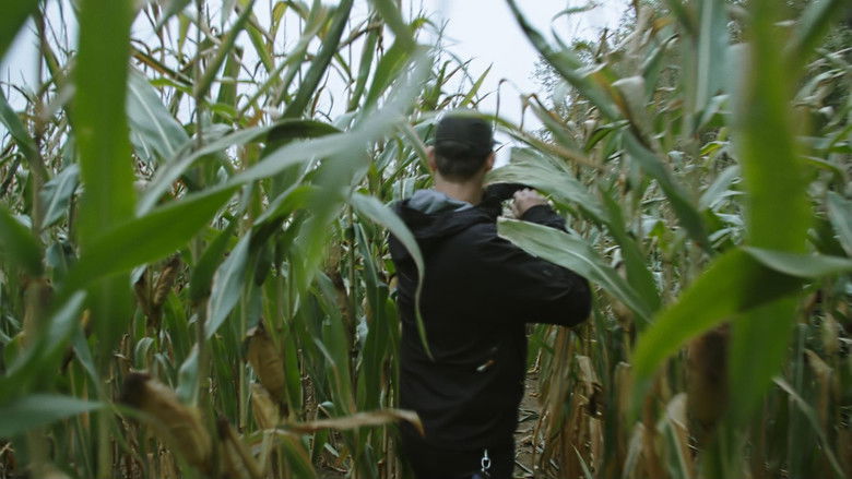 Cannabis illégal still