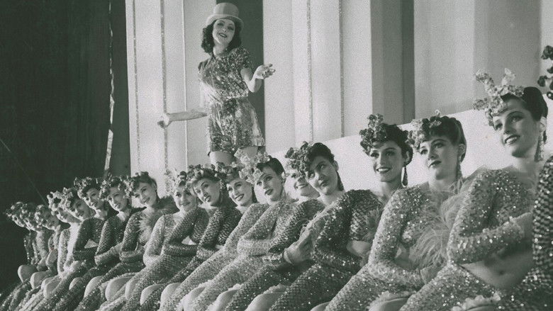 Fröken Vildkatt still 1