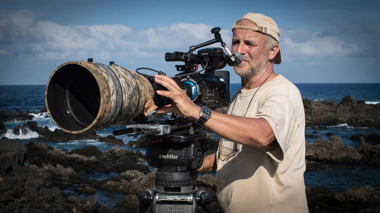 The Canary Islands still 4