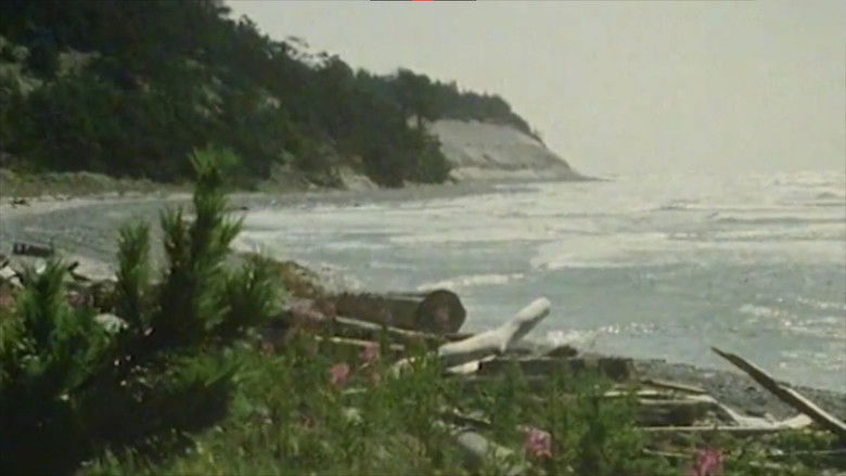 Gotska Sandön still 1