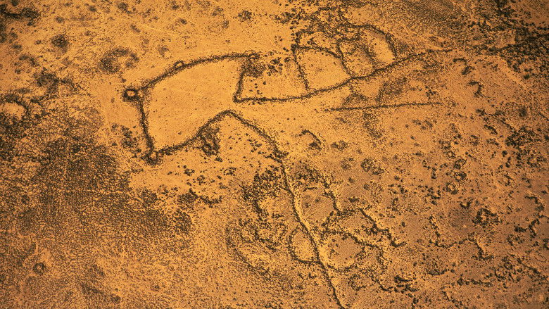 The Mystery of the Desert Kites still