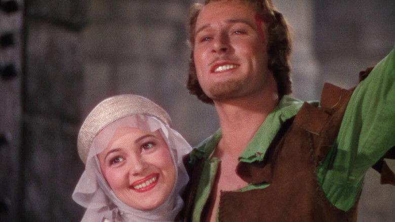 The Adventures of Robin Hood still