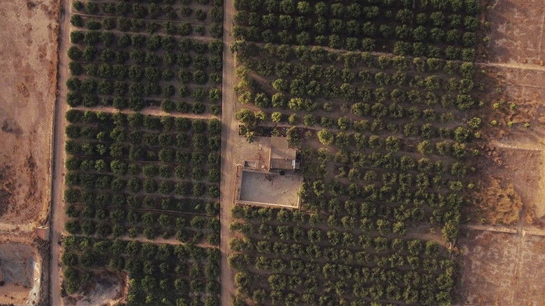 Find Fix Finish still