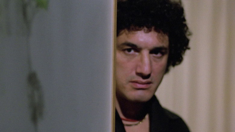 House on the Edge of the Park still