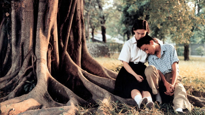 A Brighter Summer Day still