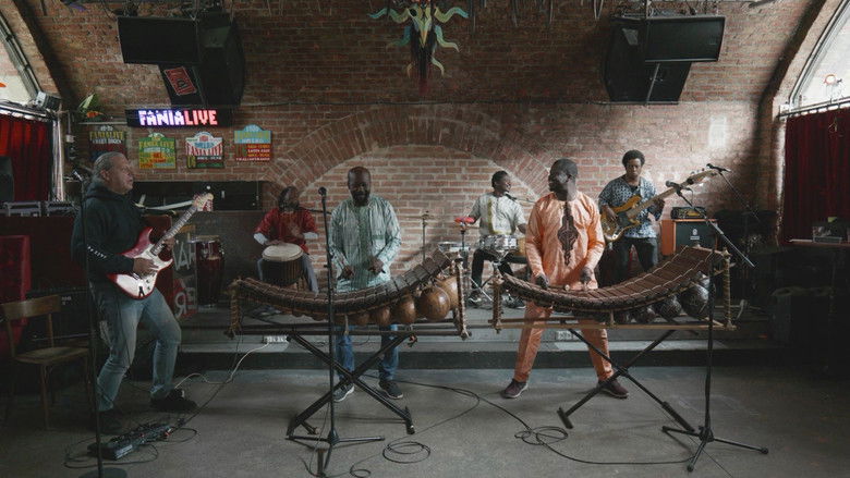 The last Balafon Master still 1